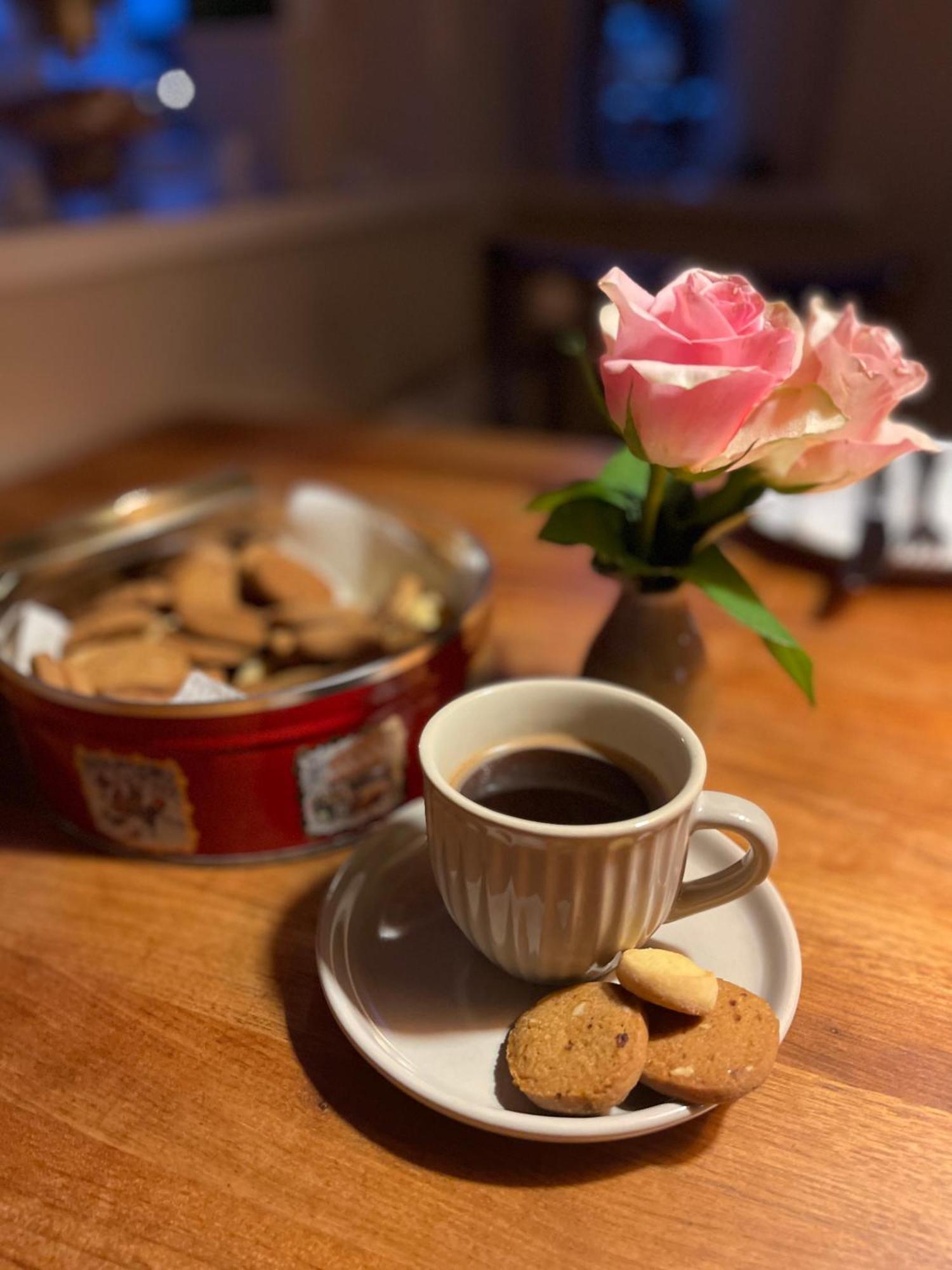 Restaurant Saelhunden Bed and Breakfast Ribe Εξωτερικό φωτογραφία