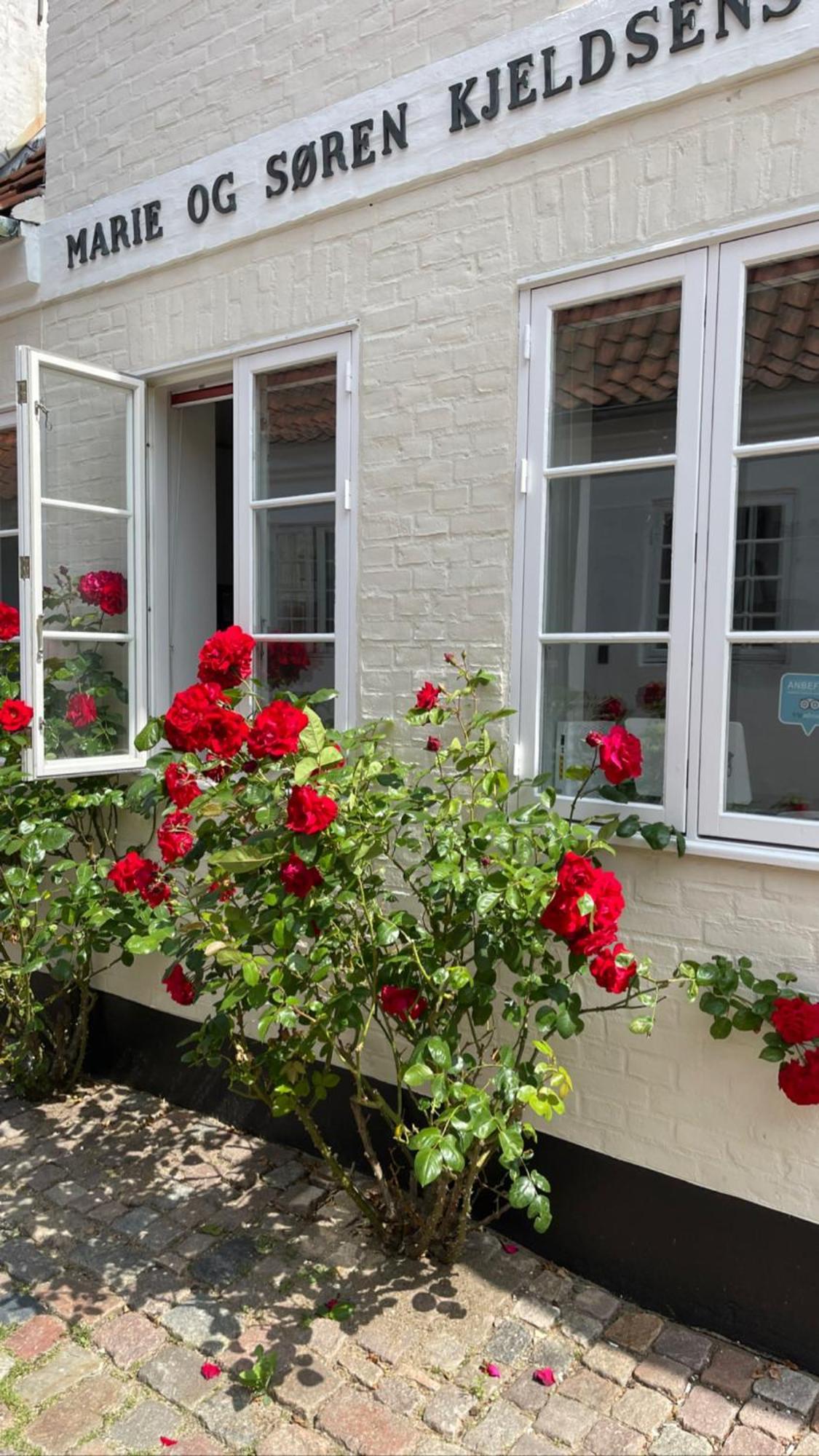 Restaurant Saelhunden Bed and Breakfast Ribe Εξωτερικό φωτογραφία